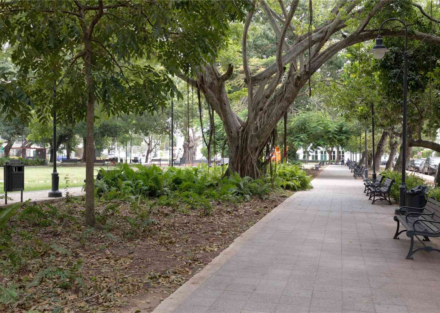 1365 Wilson Avenue West, Haven The Residences, SAN JUAN, Puerto Rico image 10