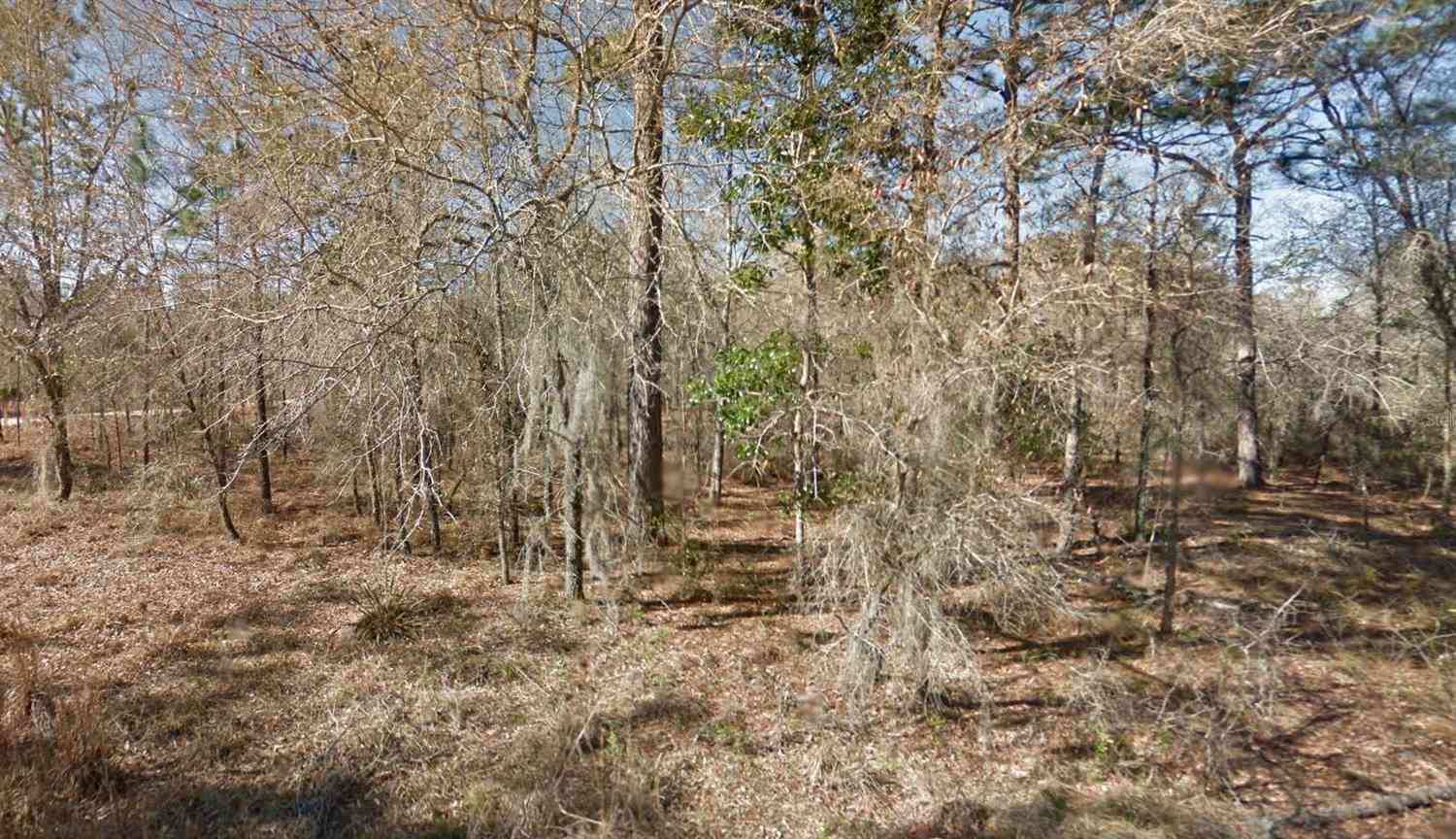 NE 16th Street #LOT 5, WILLISTON, Florida image 1