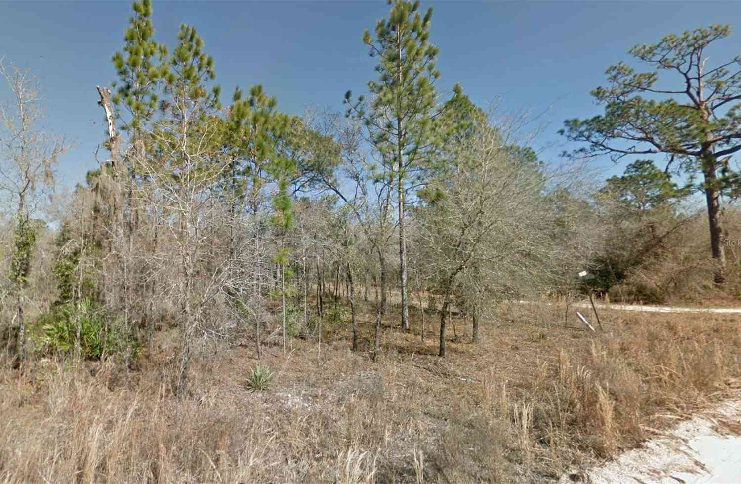 NE 16th Street #LOT 5, WILLISTON, Florida image 4