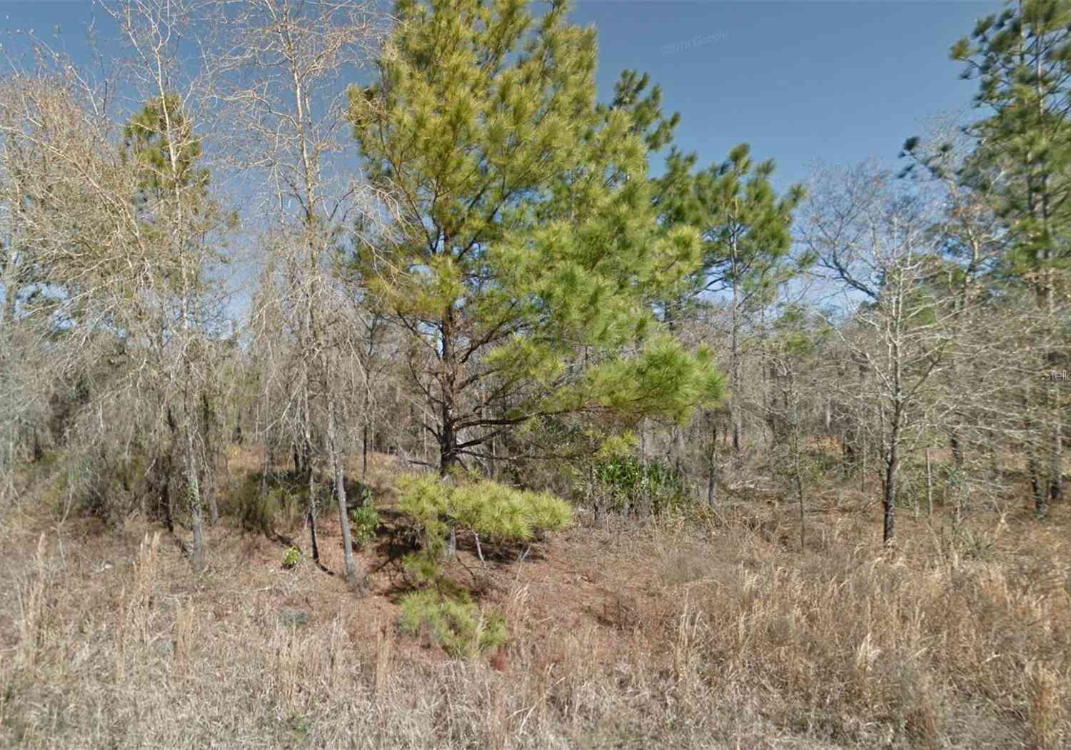 NE 16th Street #LOT 5, WILLISTON, Florida image 5