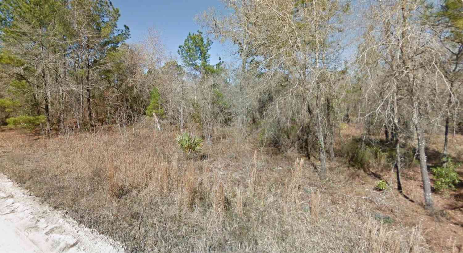 NE 16th Street #LOT 5, WILLISTON, Florida image 6