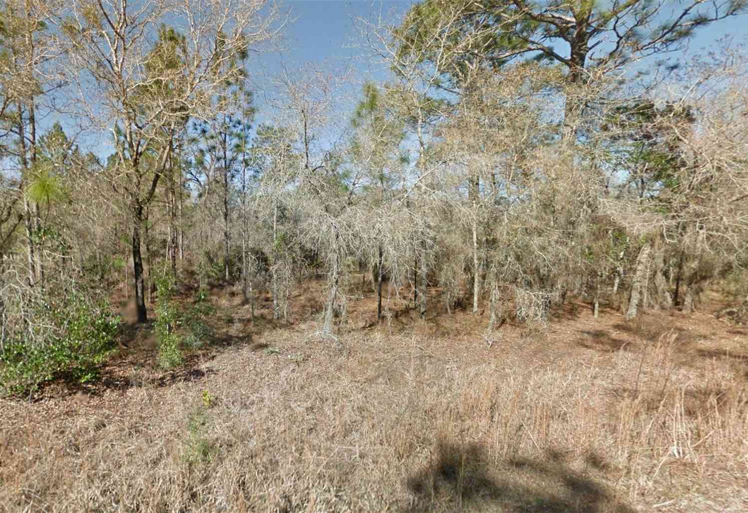 NE 16th Street #LOT 5, WILLISTON, Florida image 2