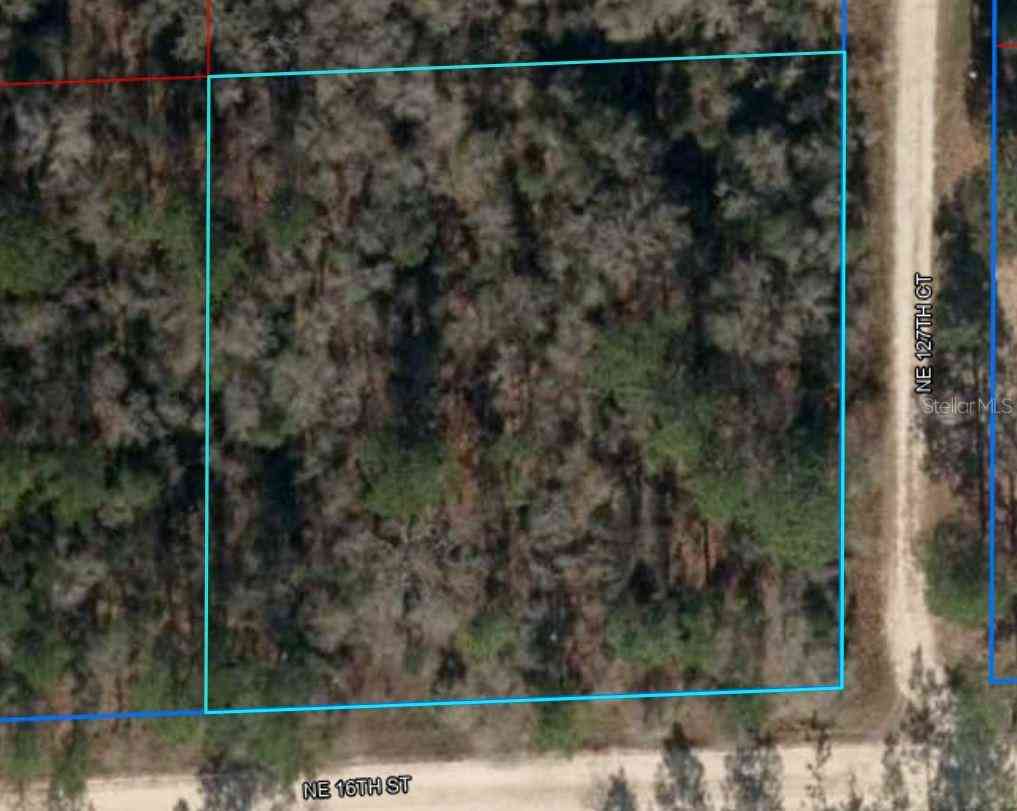 NE 16th Street #LOT 5, WILLISTON, Florida image 7