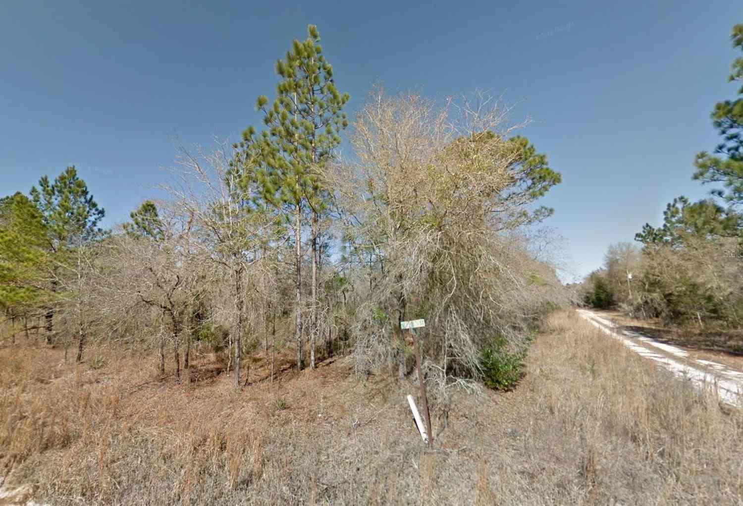 NE 16th Street #LOT 5, WILLISTON, Florida image 3