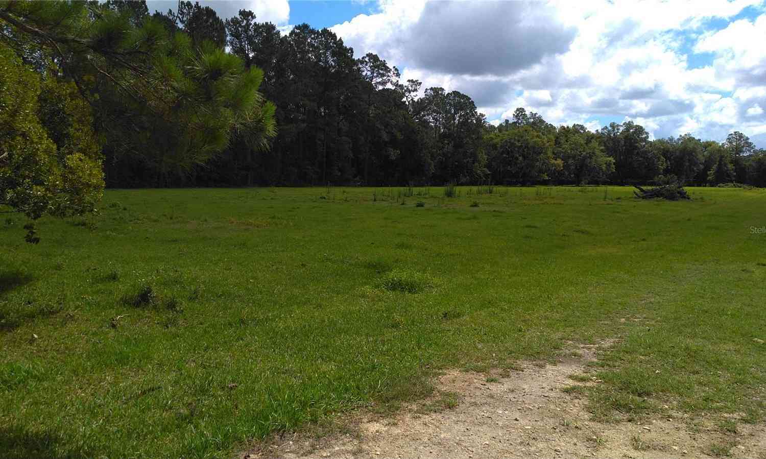 19517 NW 91 Street, ALACHUA, Florida image 3