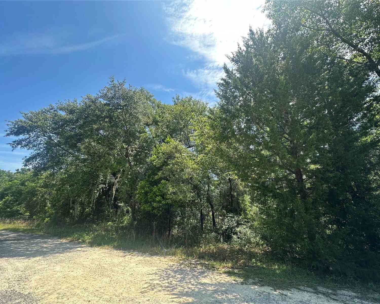 NE 154th Terrace, WILLISTON, Florida image 3