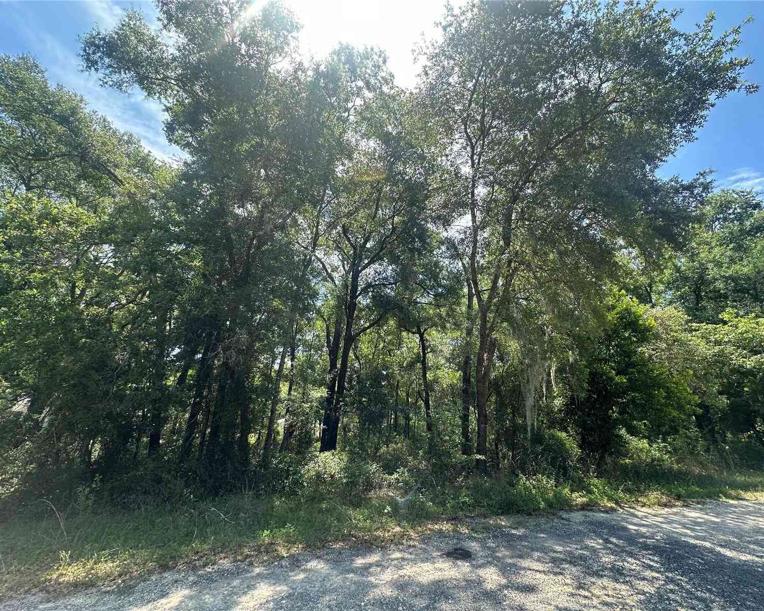 NE 154th Terrace, WILLISTON, Florida image 2