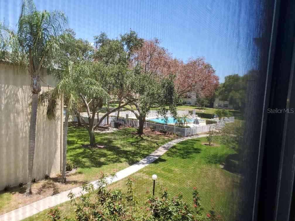 14130 Rosemary Lane #5311, LARGO, Florida image 13