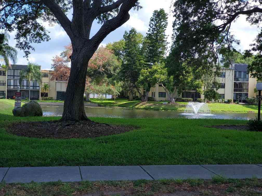 14130 Rosemary Lane #5311, LARGO, Florida image 29