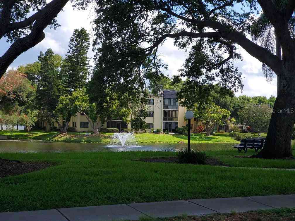 14130 Rosemary Lane #5311, LARGO, Florida image 27