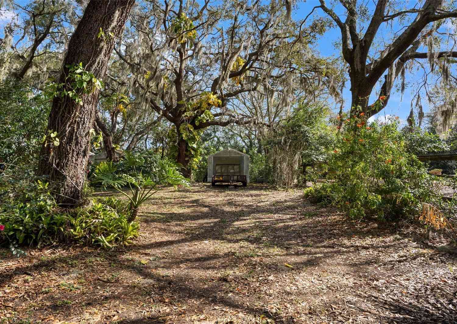 13015 Elm Street, ODESSA, Florida image 33