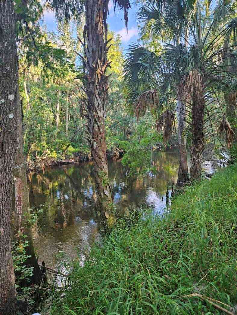 Coconut Cove Place, VALRICO, Florida image 1