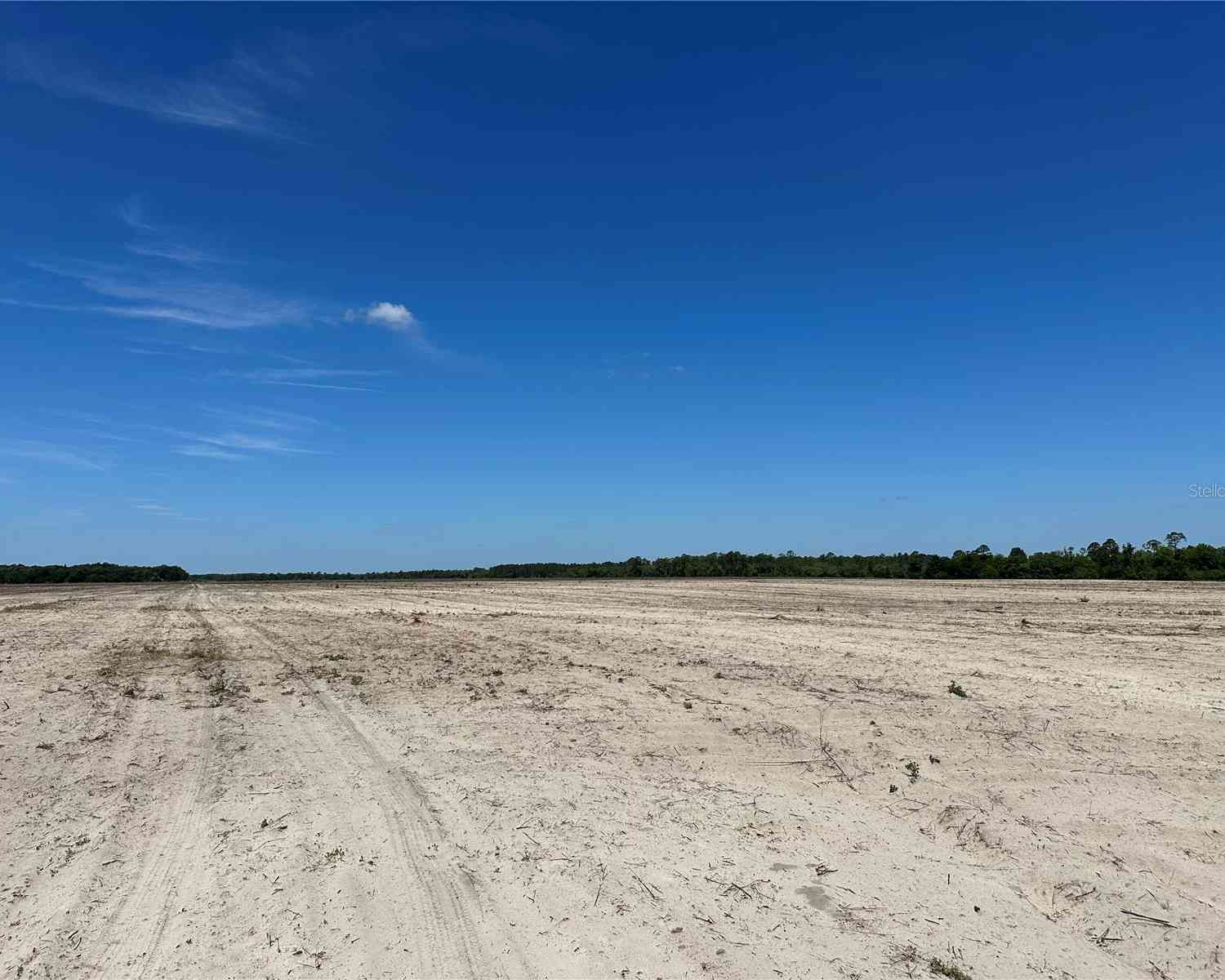 216.47ac NE 85th Ave Rd, CITRA, Florida image 3