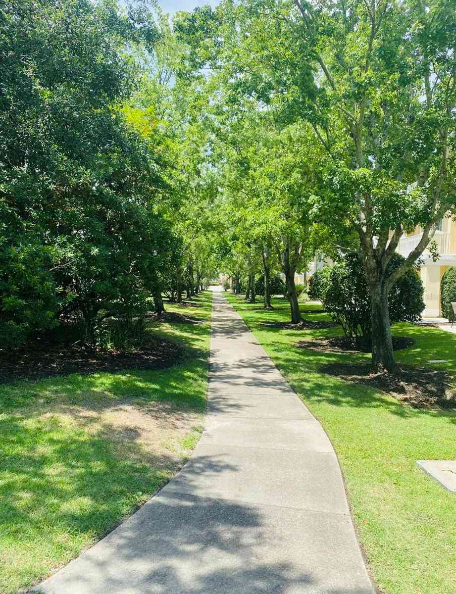 1322 Seven Eagles Court #101, Reunion, Florida image 44