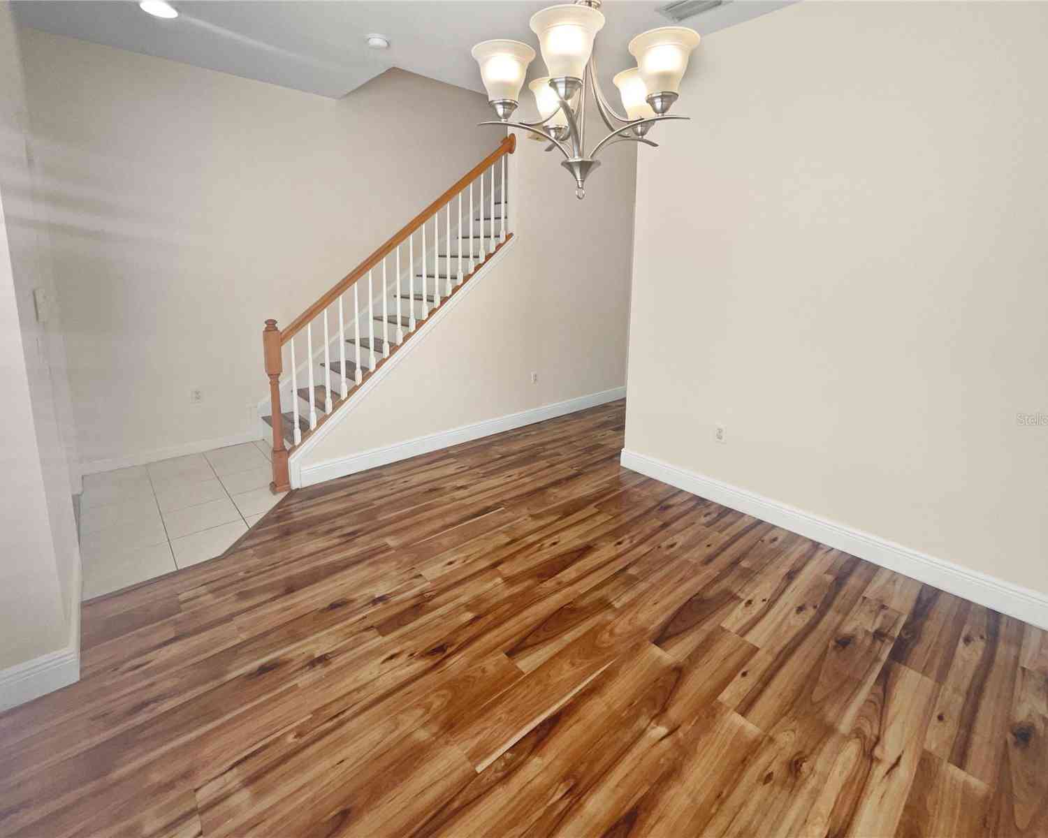 8882 Christie Drive, LARGO, Florida image 7