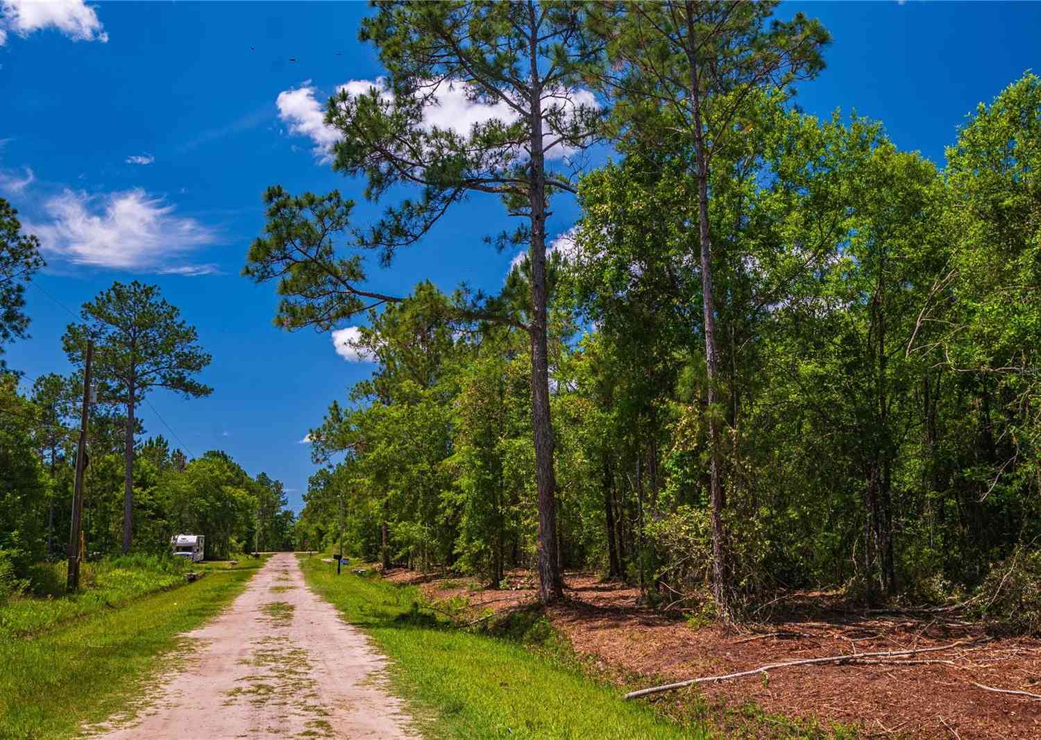 10335 Delgado Avenue, HASTINGS, Florida image 3