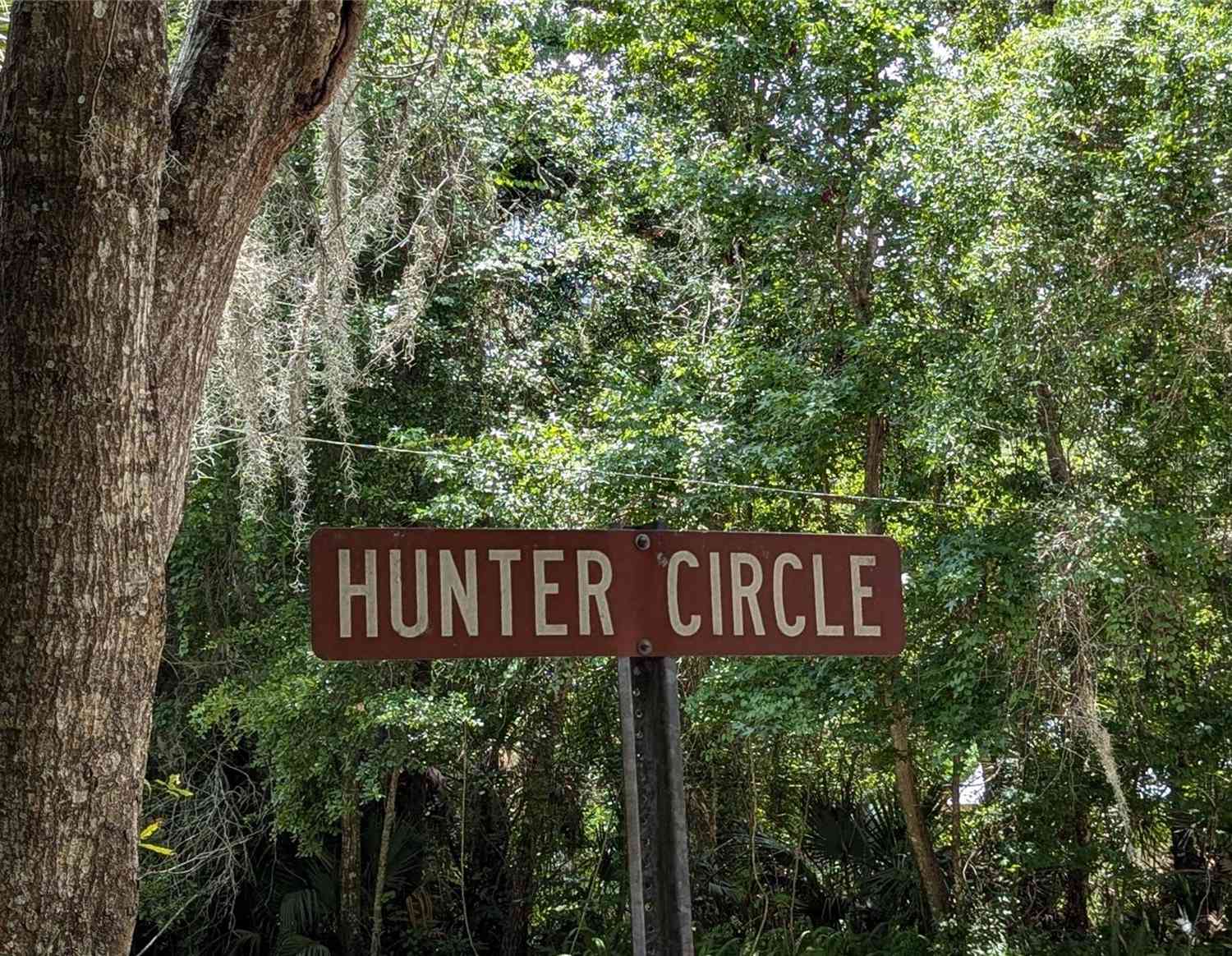 Lot 7 NE Hunter Circle, MICANOPY, Florida image 4