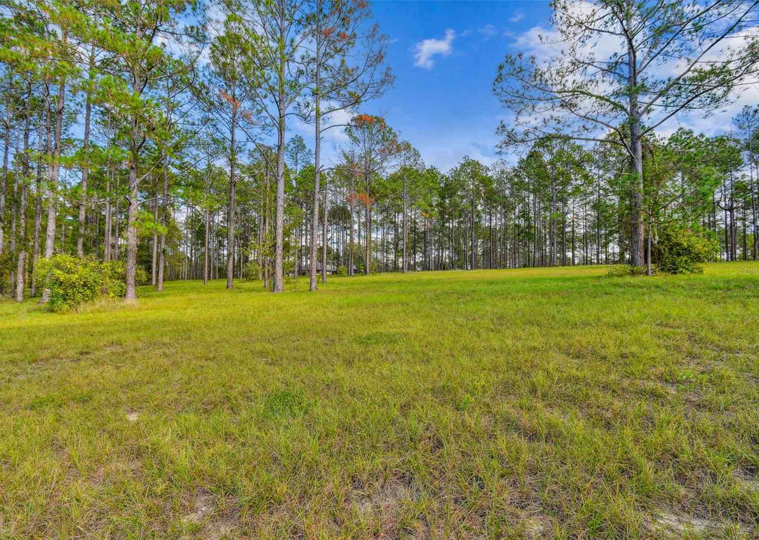 35408 Pinegate Trail, EUSTIS, Florida image 9