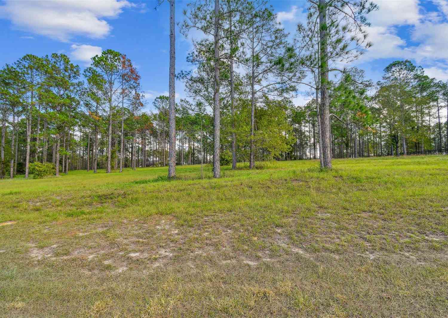 35408 Pinegate Trail, EUSTIS, Florida image 29