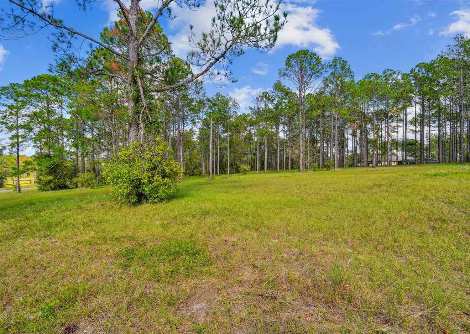 35408 Pinegate Trail, EUSTIS, Florida image 8