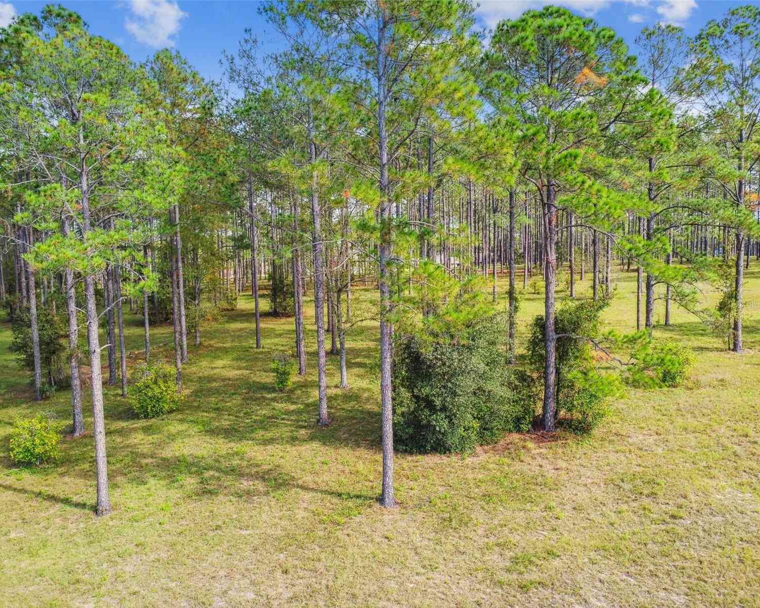 35408 Pinegate Trail, EUSTIS, Florida image 33