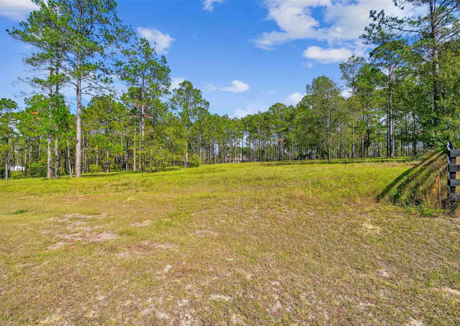 35408 Pinegate Trail, EUSTIS, Florida image 4