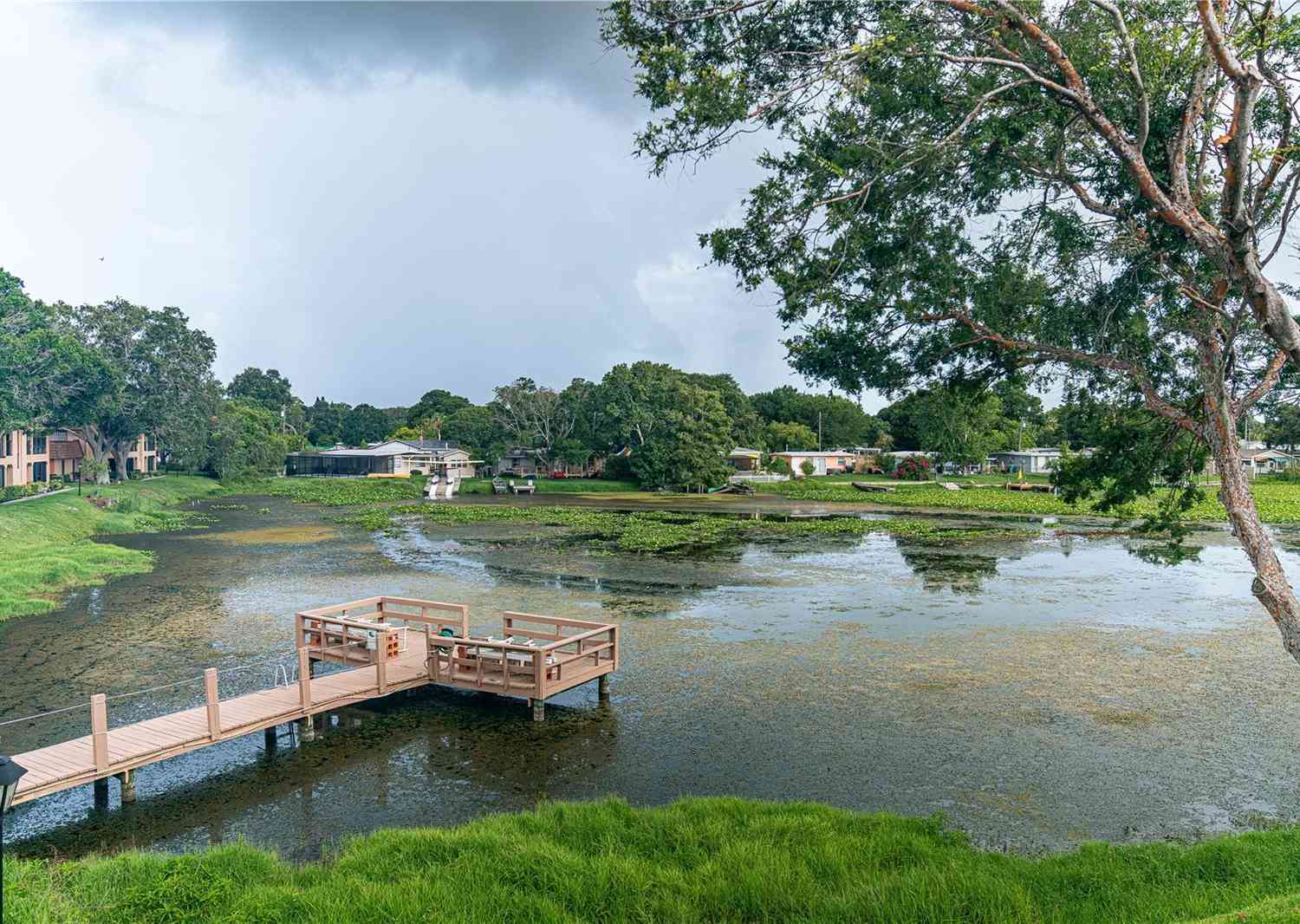 10196 Seminole Island Drive, LARGO, Florida image 45