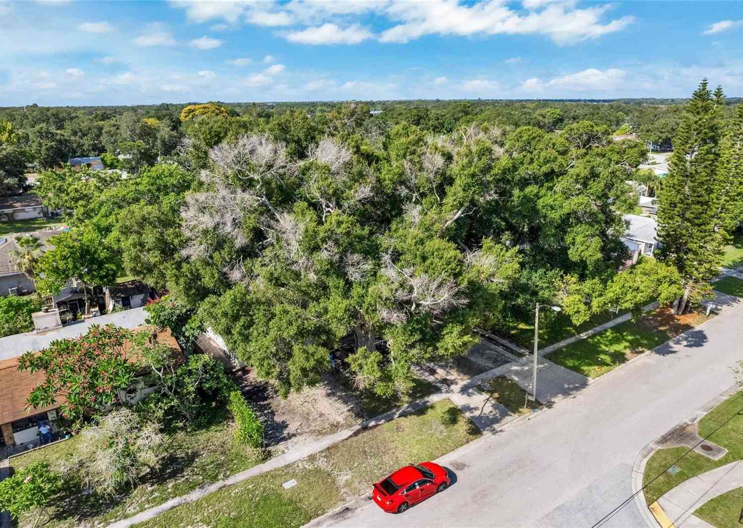 8996 Southern Comfort, LARGO, Florida image 44