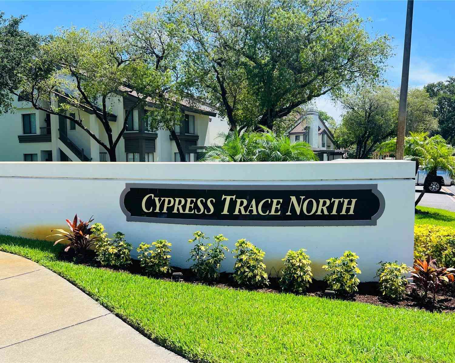 1813 Lake Cypress Drive #902, SAFETY HARBOR, Florida image 2