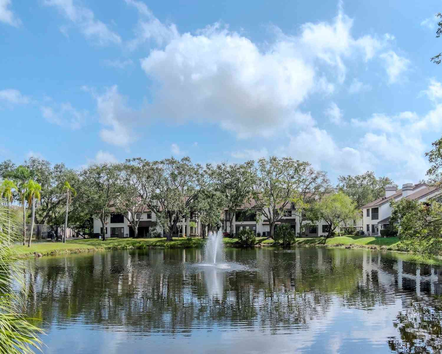 1813 Lake Cypress Drive #902, SAFETY HARBOR, Florida image 14