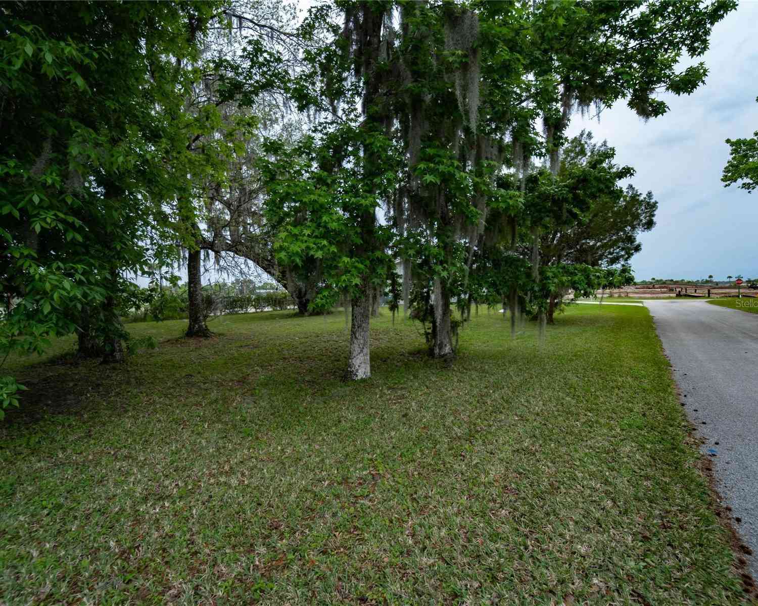 Lot 56 Blk C Lexington Drive, WILDWOOD, Florida image 4