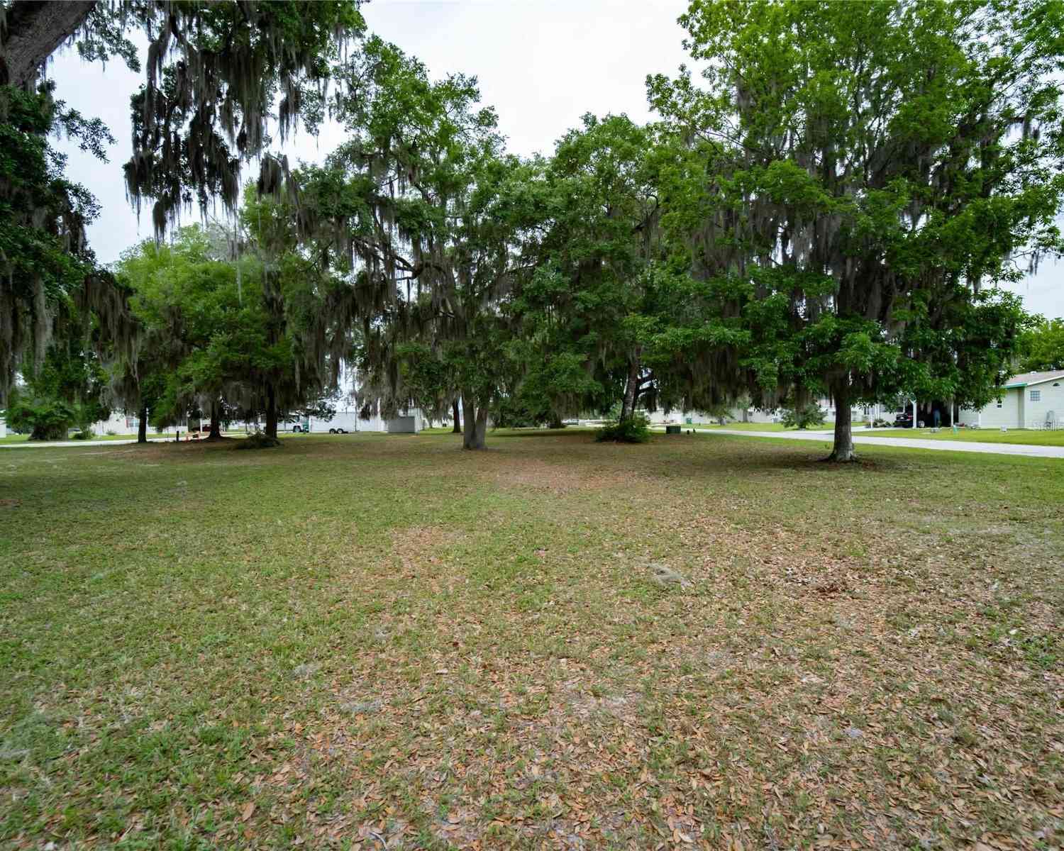 Lot 61 Blk C Lexington Circle, WILDWOOD, Florida image 4