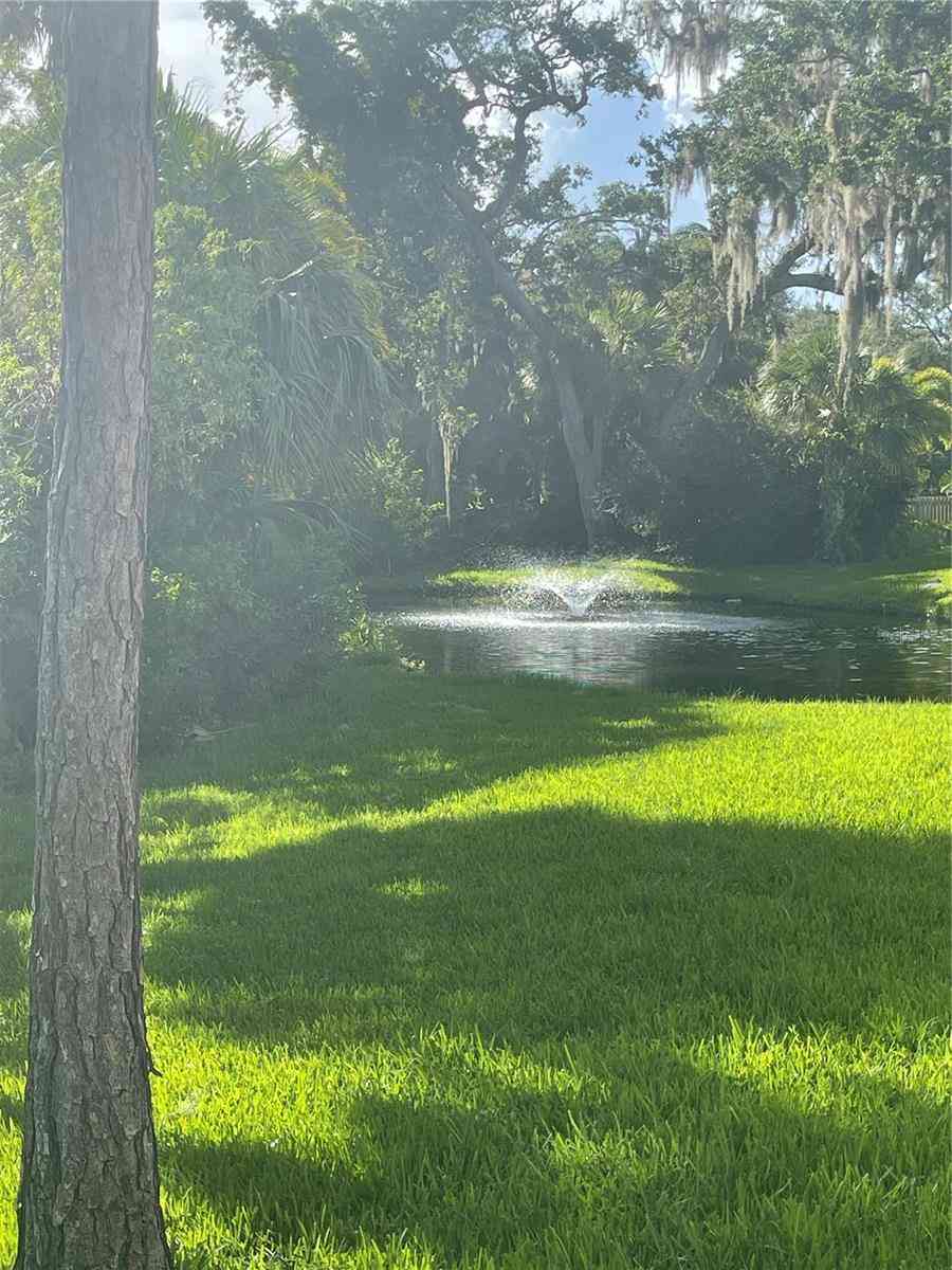 11411 Harbor Way #1621, LARGO, Florida image 21