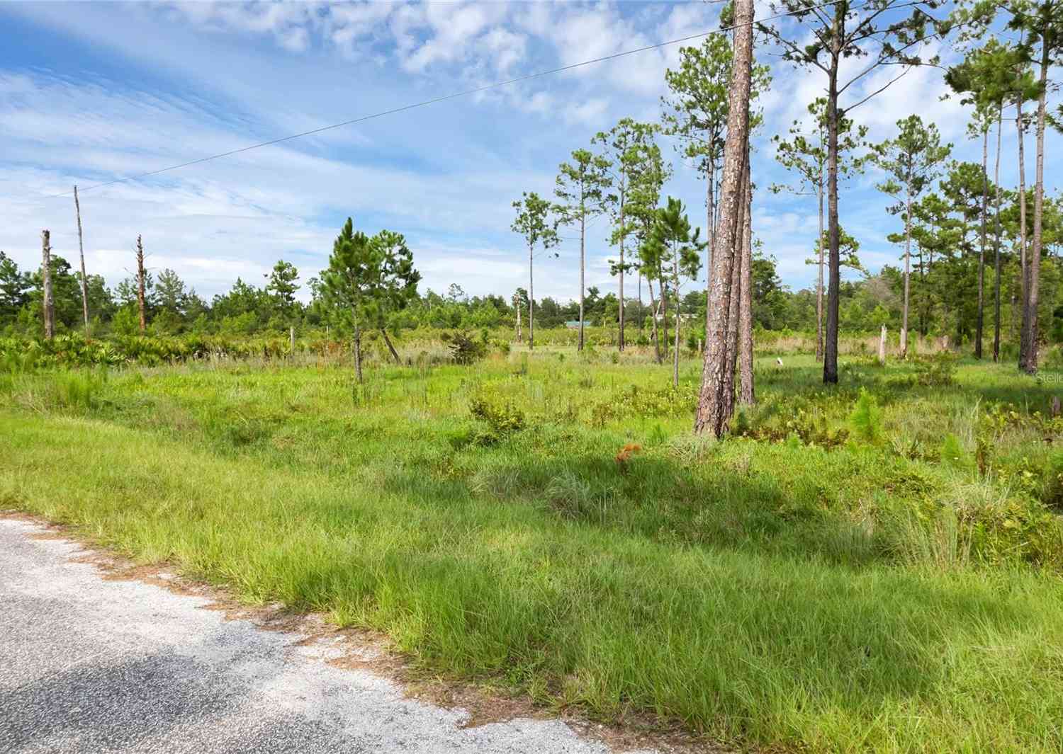 30808 Apricot Avenue, EUSTIS, Florida image 3