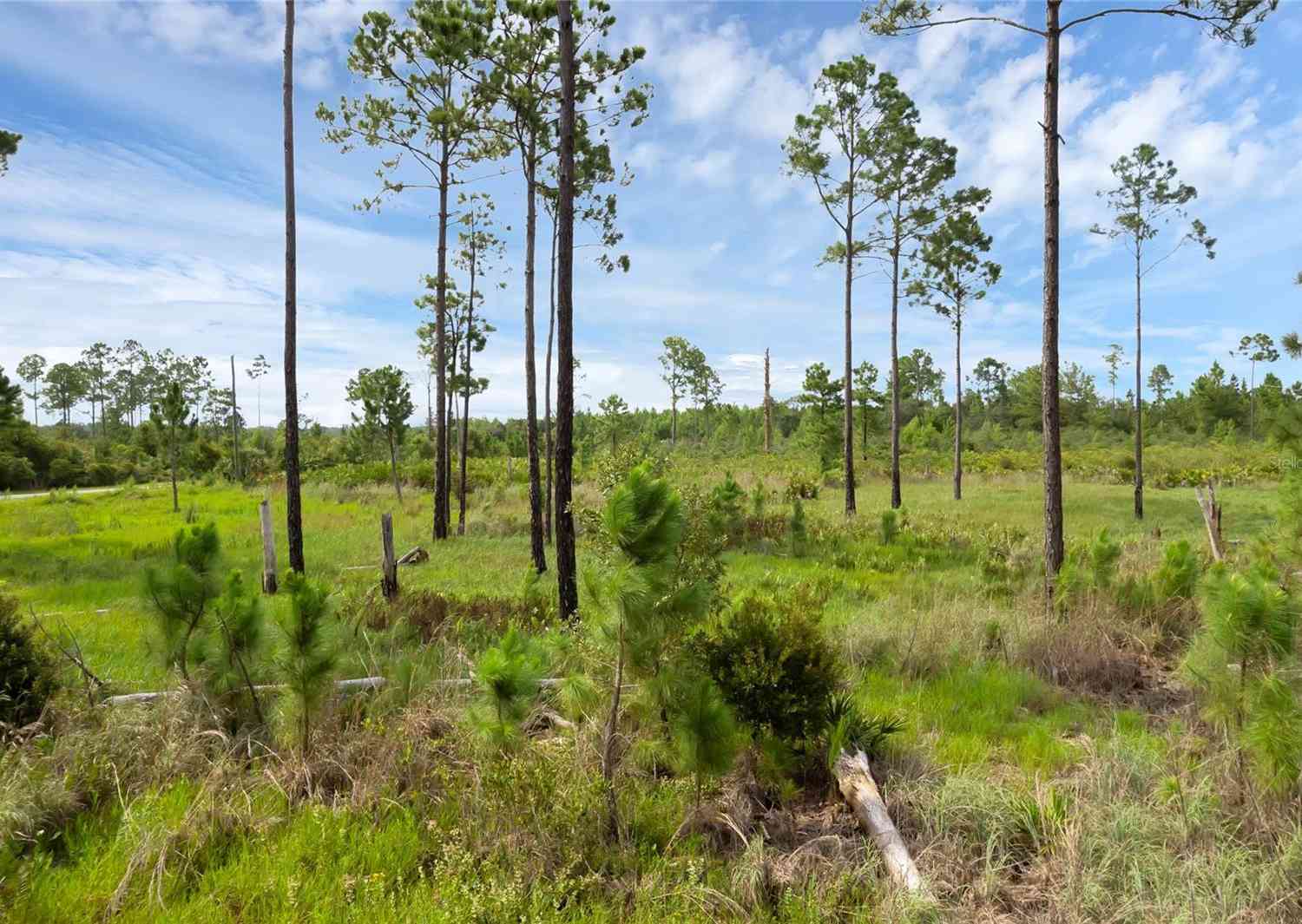 30808 Apricot Avenue, EUSTIS, Florida image 8