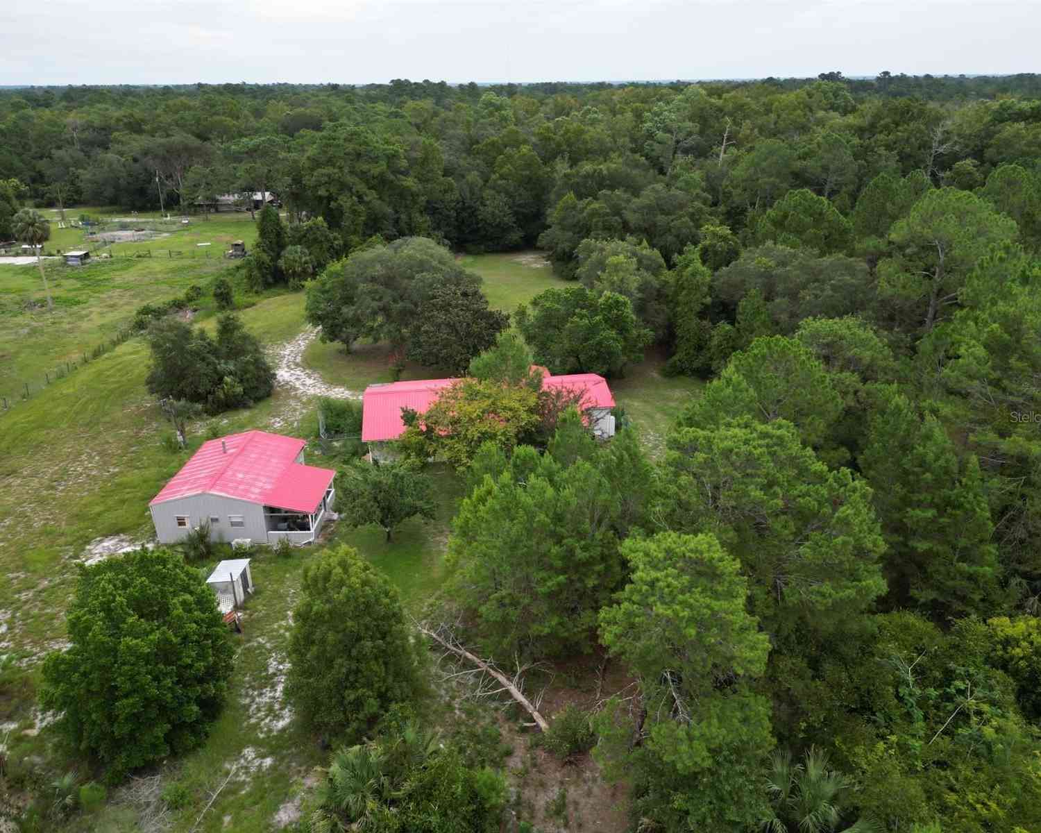 39211 Coot Drive, EUSTIS, Florida image 4