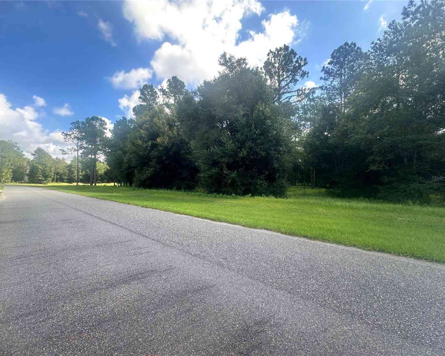 24250 Deep Springs Loop, EUSTIS, Florida image 7