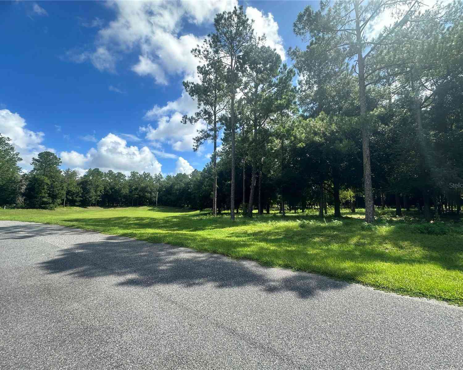 24250 Deep Springs Loop, EUSTIS, Florida image 4