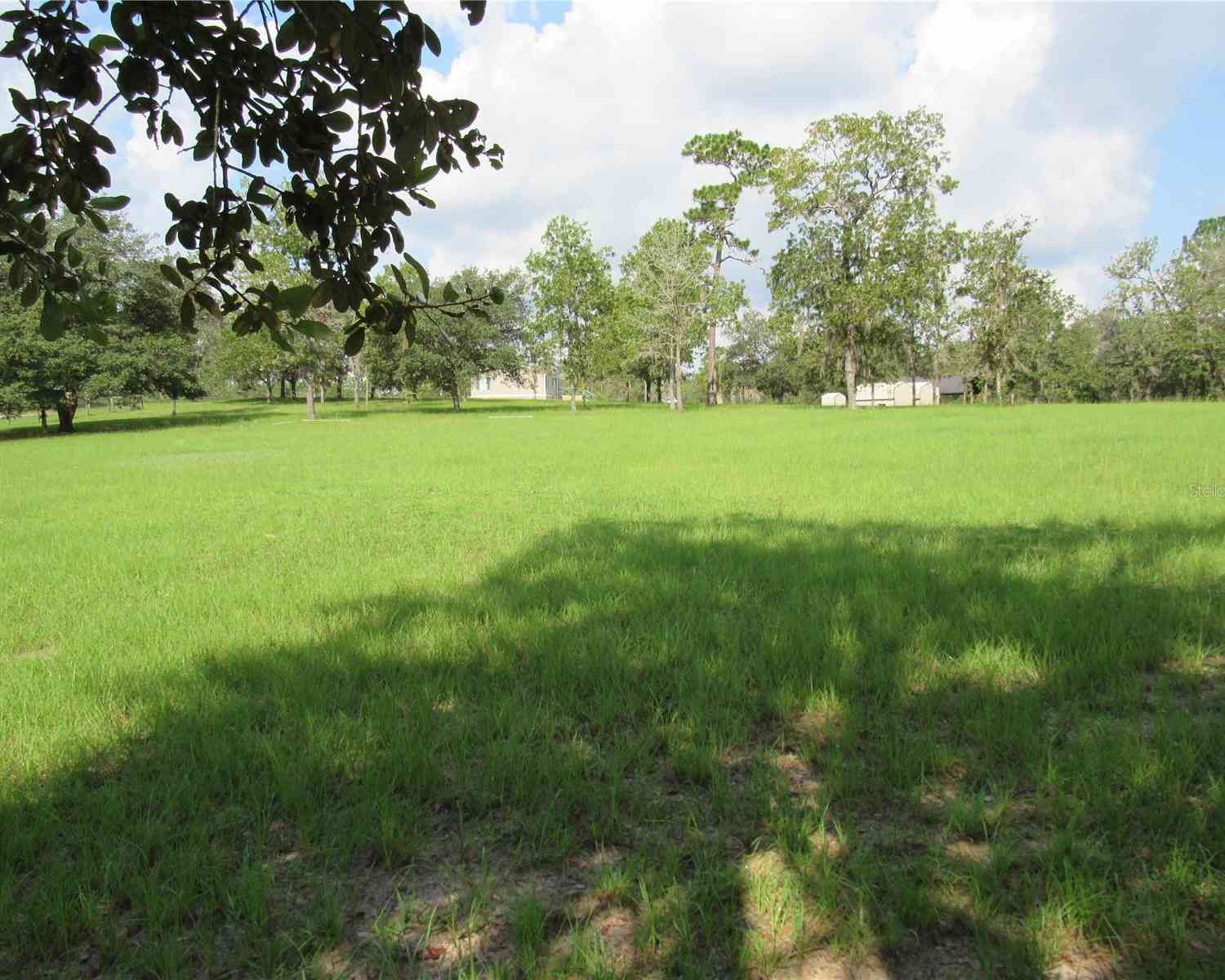 5791 SE 122nd Avenue, MORRISTON, Florida image 31