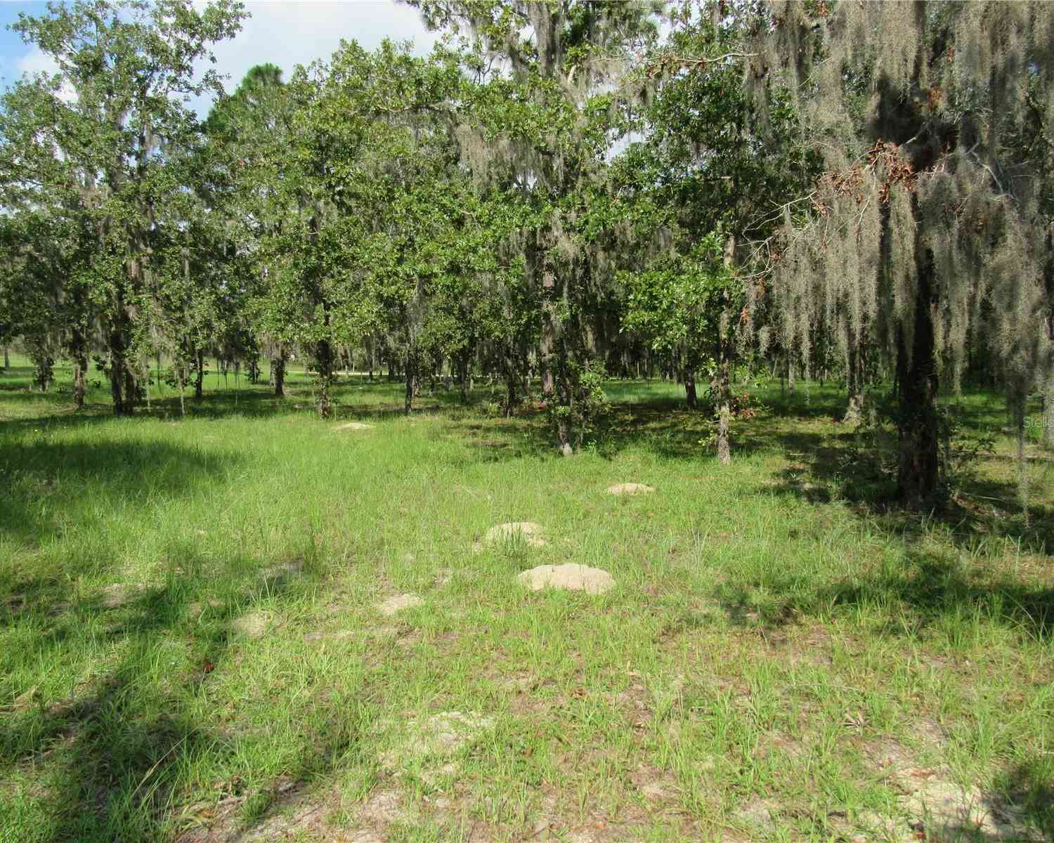 5791 SE 122nd Avenue, MORRISTON, Florida image 34