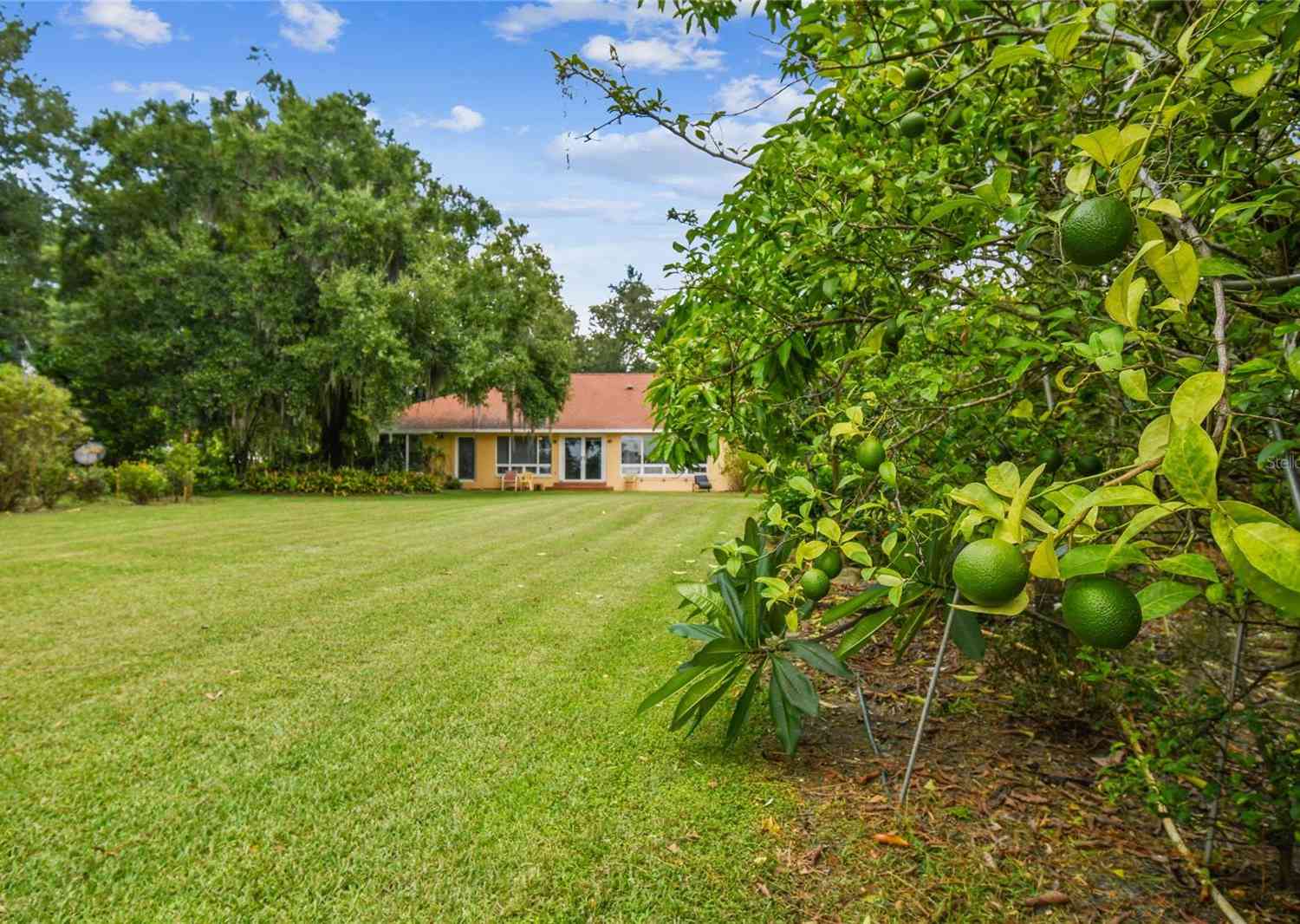 12002 Mckinnon Road, Windermere, Florida image 34