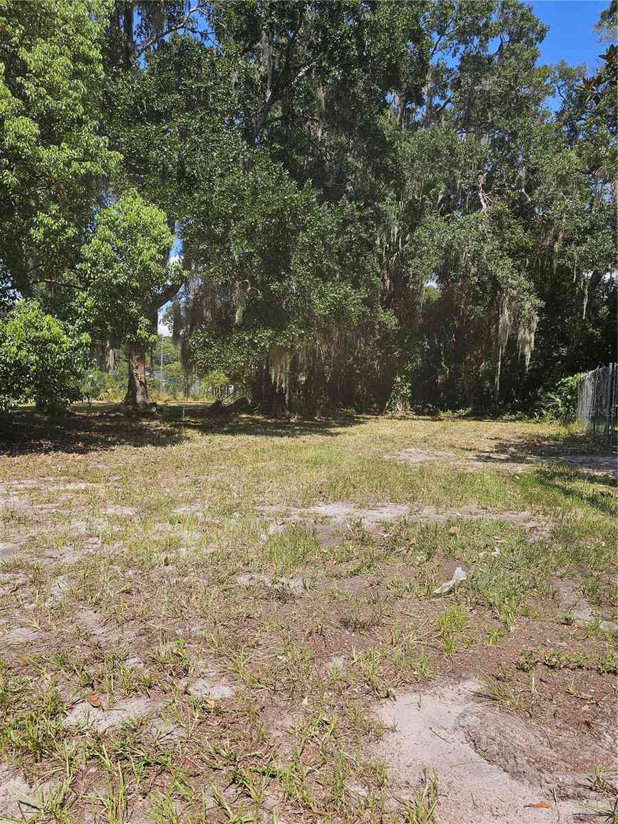 513 Pine Lane, EUSTIS, Florida image 3