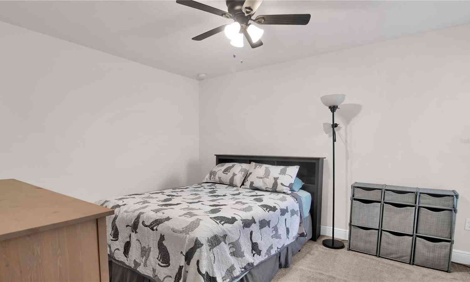 11638 Cambium Crown Drive, RIVERVIEW, Florida image 35