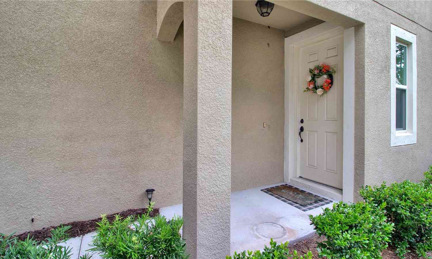 11638 Cambium Crown Drive, RIVERVIEW, Florida image 3