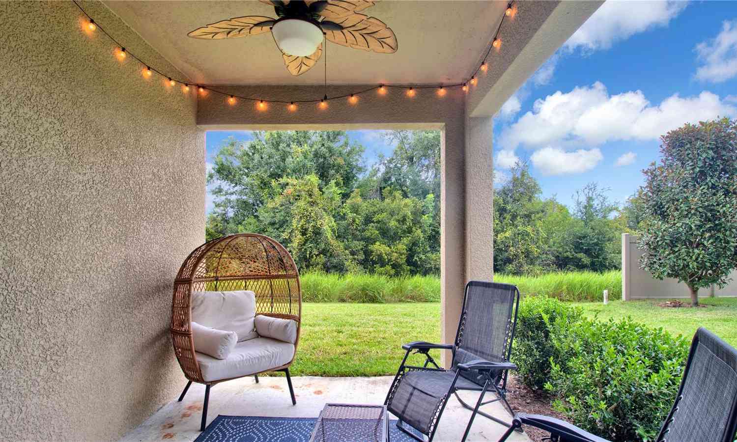 11638 Cambium Crown Drive, RIVERVIEW, Florida image 9