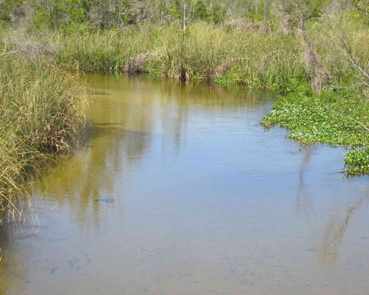 11925 SE 167th Avenue Road, OCKLAWAHA, Florida image 43