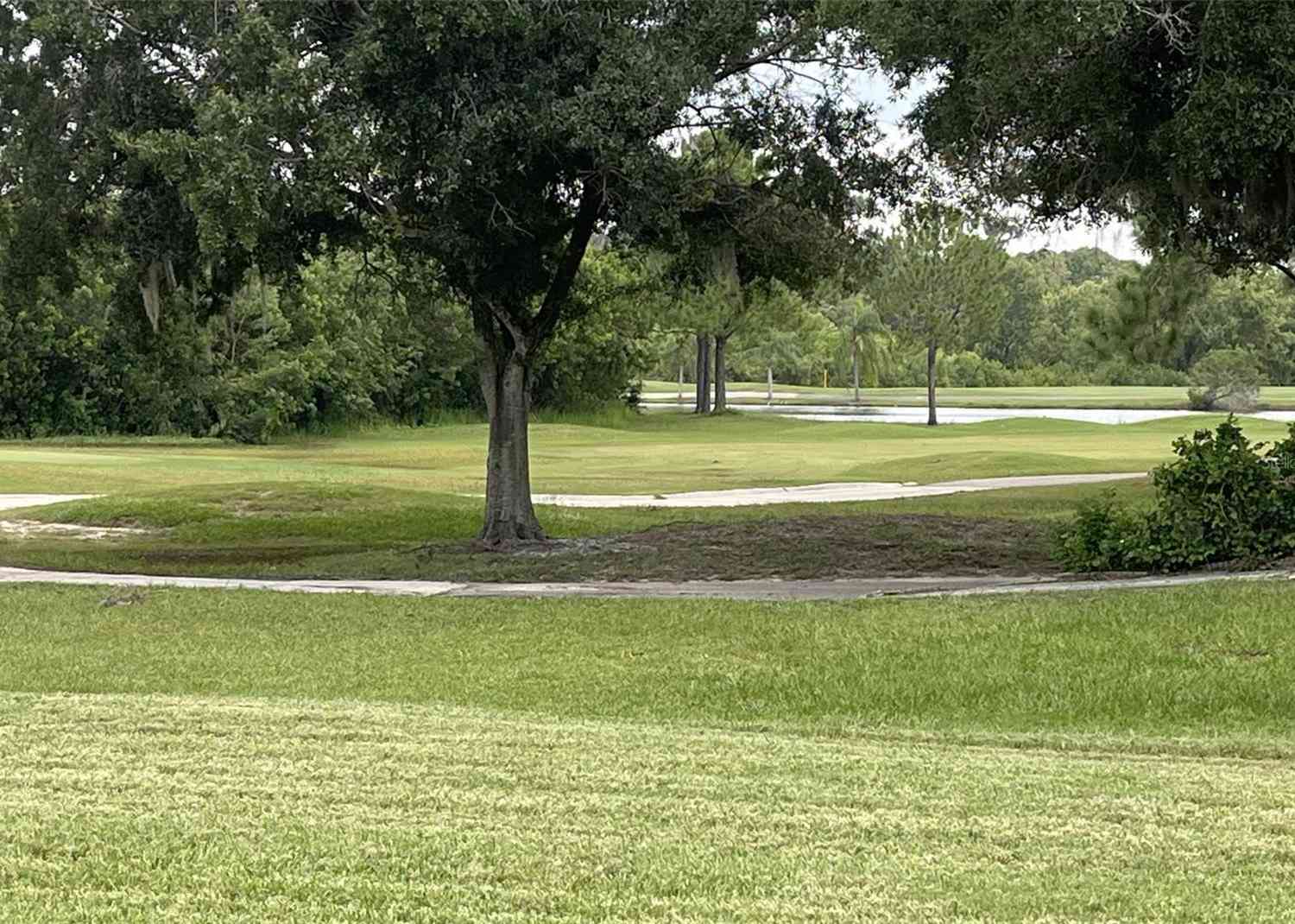 13102 Prestwick Drive, RIVERVIEW, Florida image 2