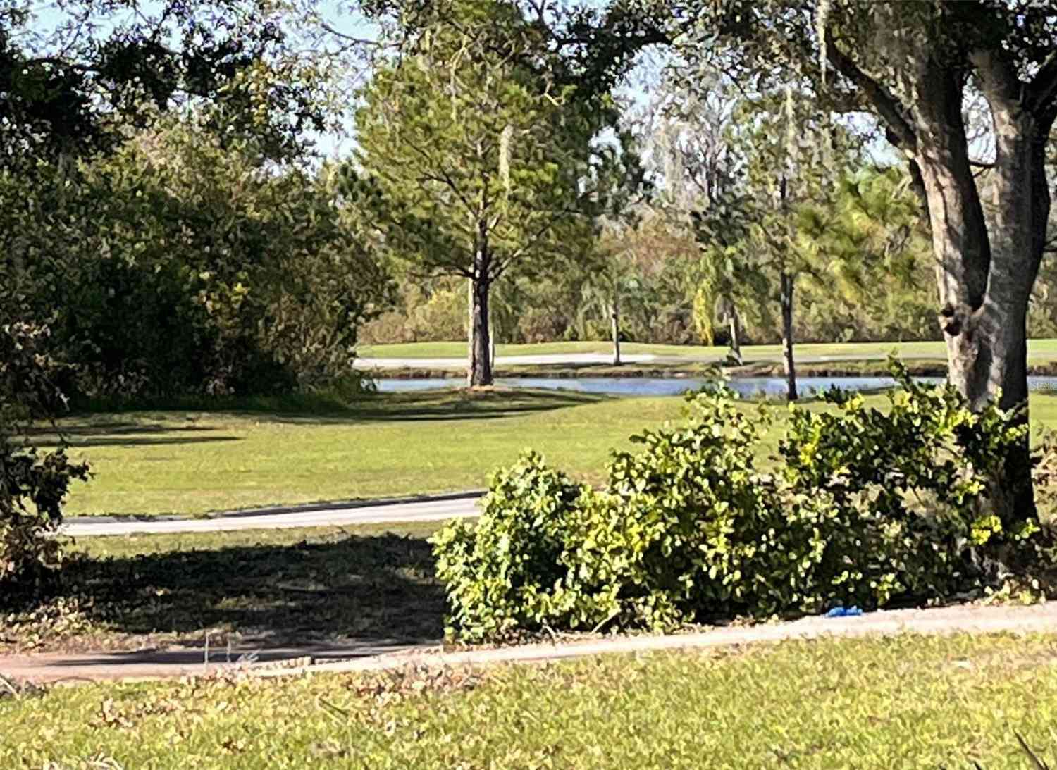 13102 Prestwick Drive, RIVERVIEW, Florida image 24