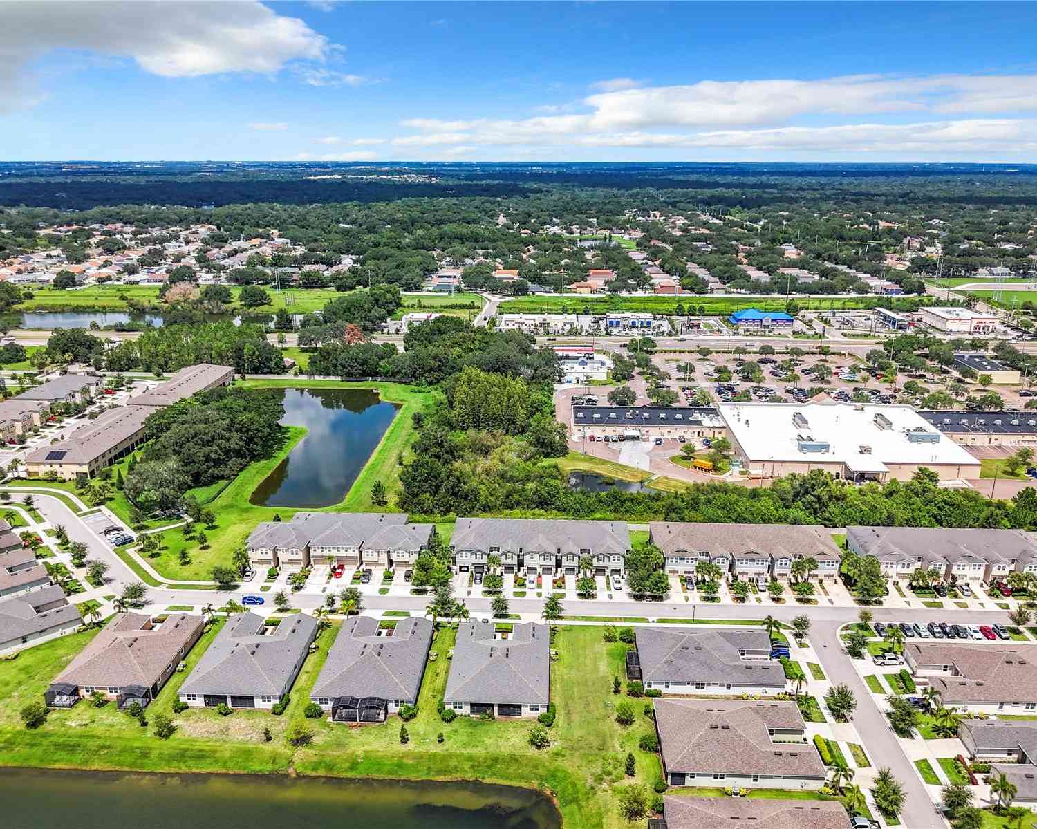 11650 Cambium Crown Drive, RIVERVIEW, Florida image 7