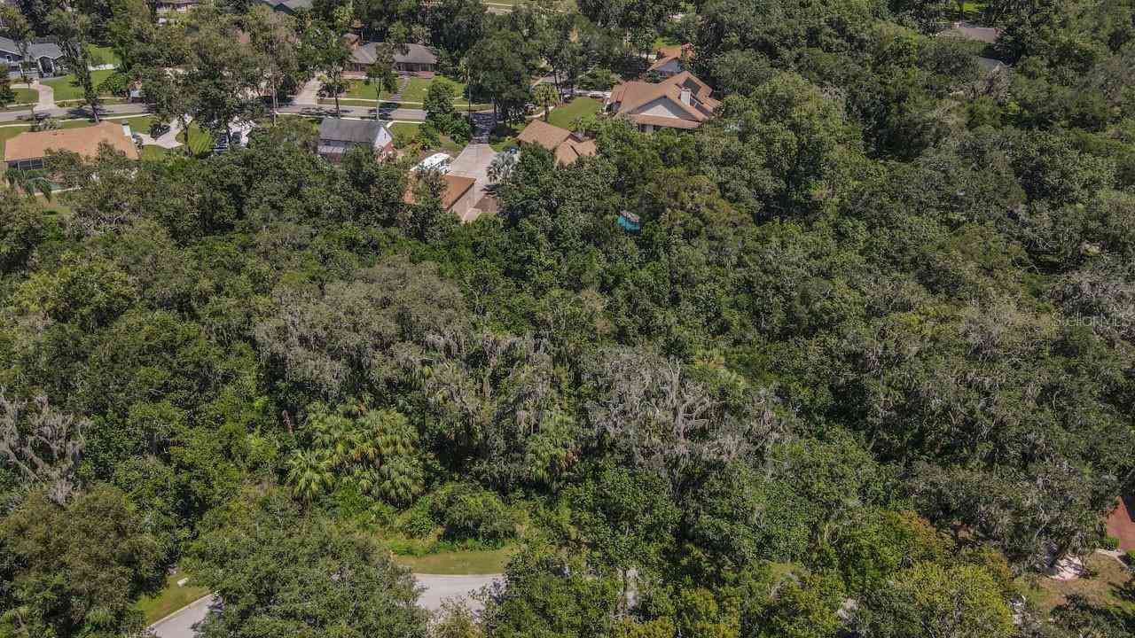 4808 Rambling River Road, BRANDON, Florida image 9